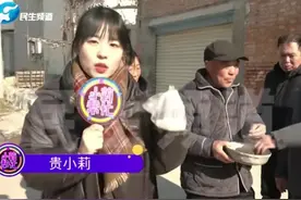 河南新乡天降神秘石头，看着像冰块，却又煮不化图片