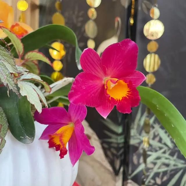 出门冻手冻耳朵！丰台室内去哪儿最温暖，戳——