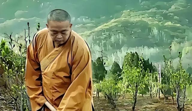 越扒越惊心！你根本想象不到释永信在少林寺的奢靡生活有多离谱？
