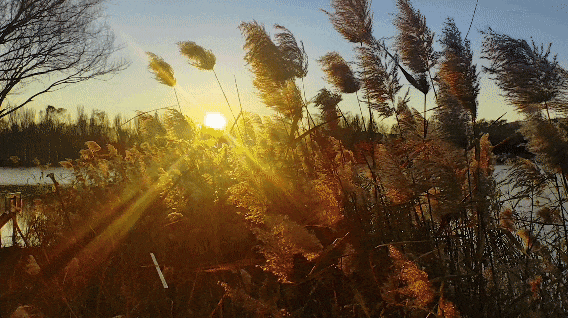 用电影的方式“打开”初冬！每一帧，都浪漫