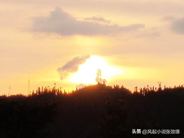 张效雄 万洋山：绿色神韵