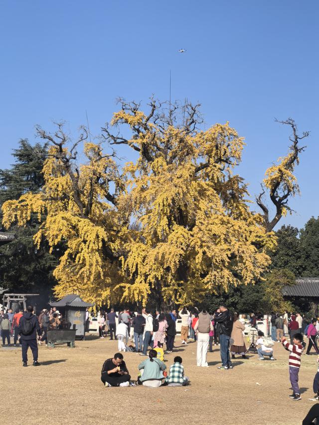 南京老山郊野一日徒步，从狮子岭兜率寺到汤泉惠济寺