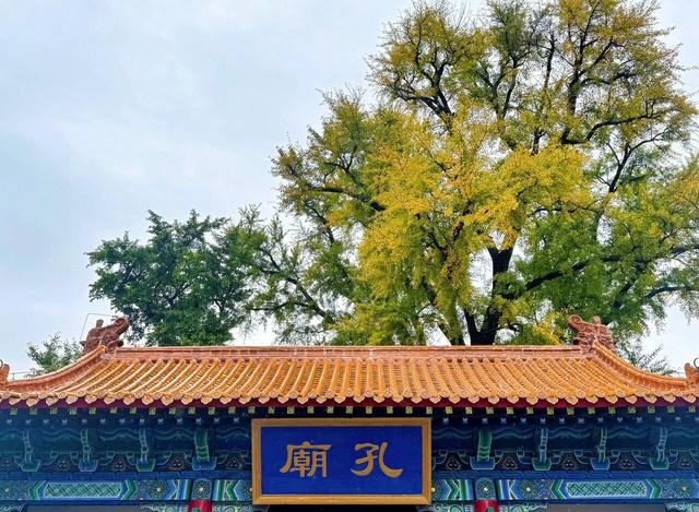 接下来临沂的秋天 | 这10处绝美打卡地别错过！先收藏慢慢逛~