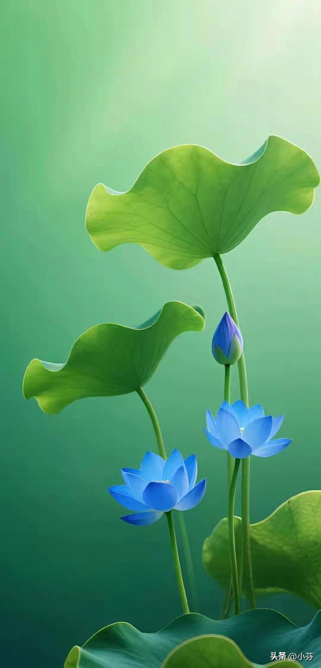 老了才明白：永远不要在儿媳妇面前，表现出这5种行为，切记