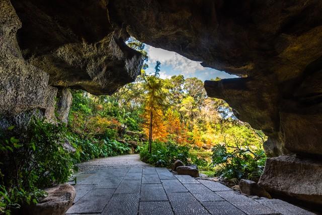 福建人私藏的红叶地图流出！这5个秘境让摄影师疯狂