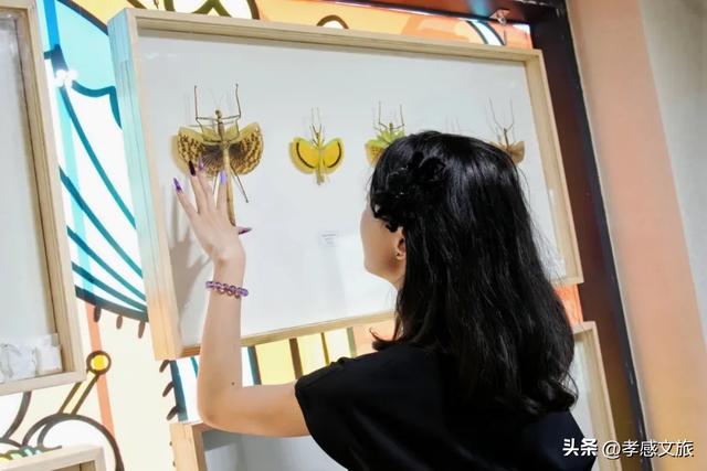 摸爬宠、探魔法，孝感这个一站式遛娃新地标诞生！