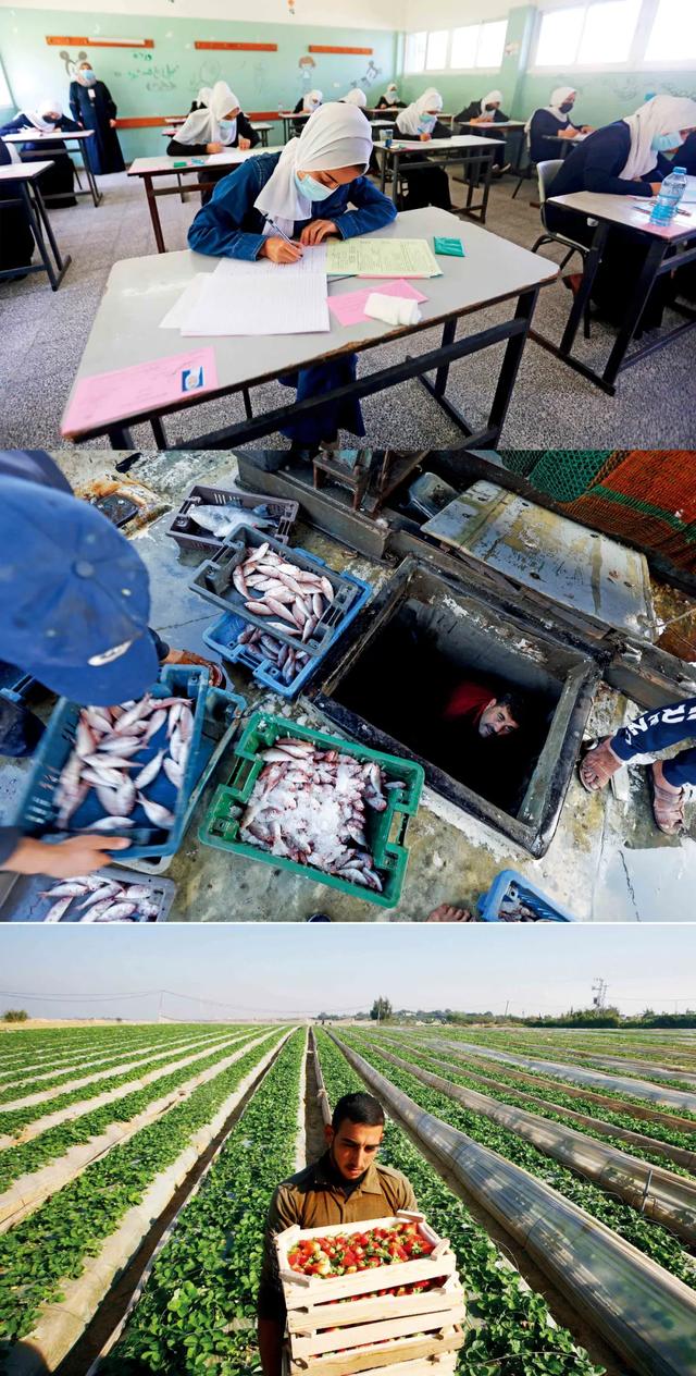 学者称加沙没有一个人不是难民