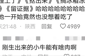 东北人自带的喜剧属性！打官司之小牛犊死亡之谜，开庭都这么好笑图片