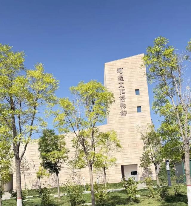 桂维民：唯有诗意与黄河不可辜负（一）