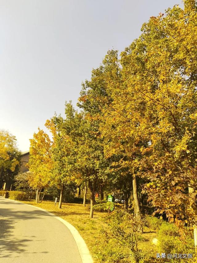 水墨丹青、红叶翩跹，易水湖秋日山水美成画！