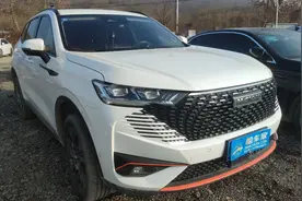 23年上牌的哈弗H6，3万块包过户！老套路死灰复燃，大家要警惕！图片