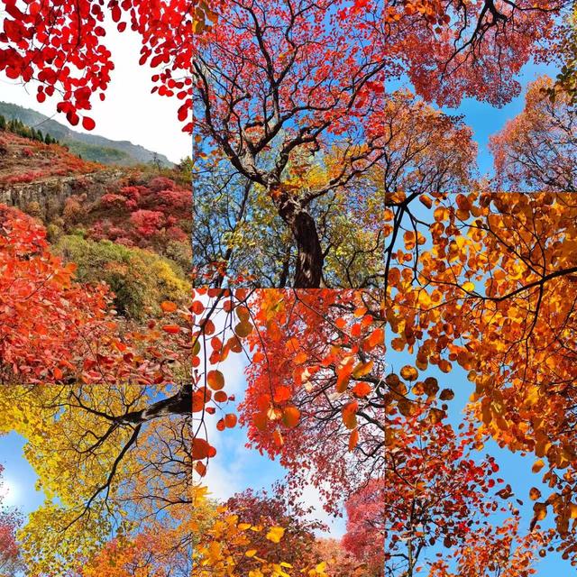 周末好去处 | 被临沂户外徒步地 美哭了！