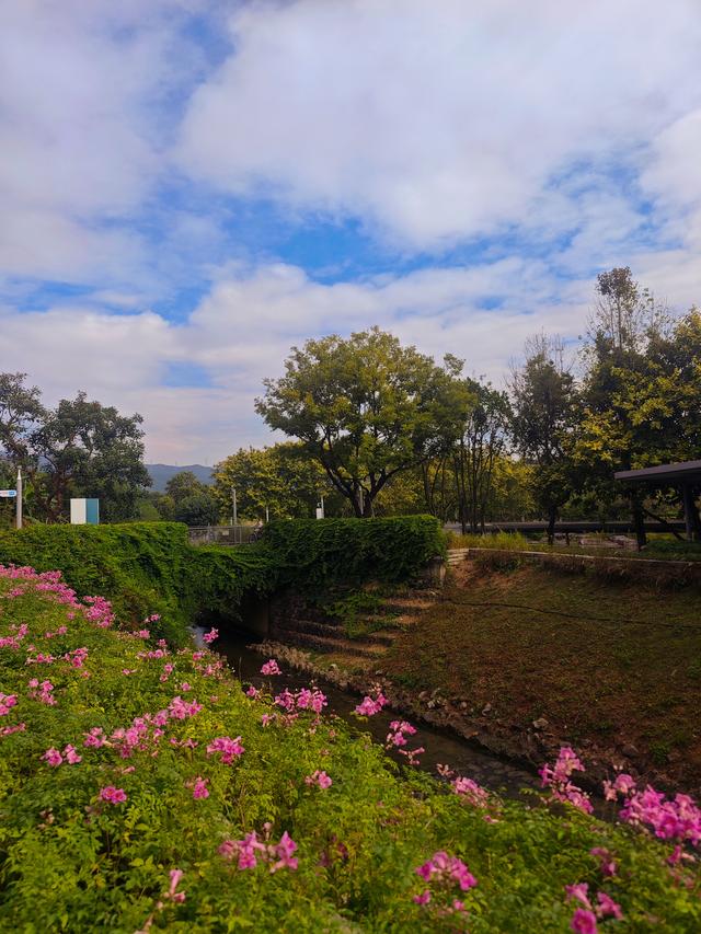 环西丽湖绿道骑行慢行随拍-动个好奇心