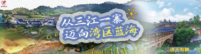 广东秋暑未消？麻江清凉花海已上线！佛山出发，赴一场苗岭秋色之约