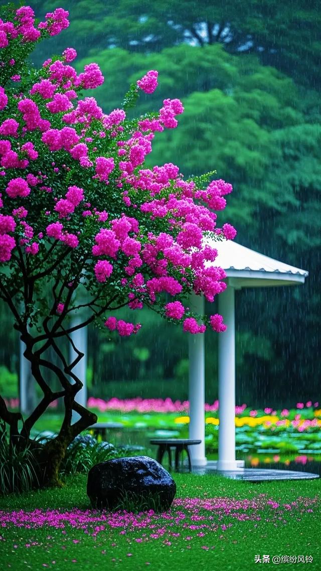 雨落芳华，打湿青石板路