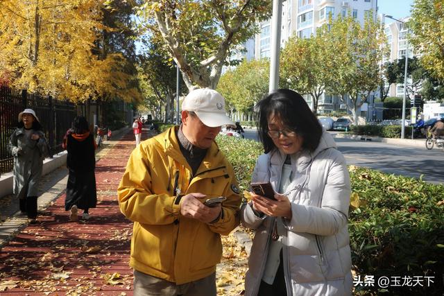 散文丨古银杏树下