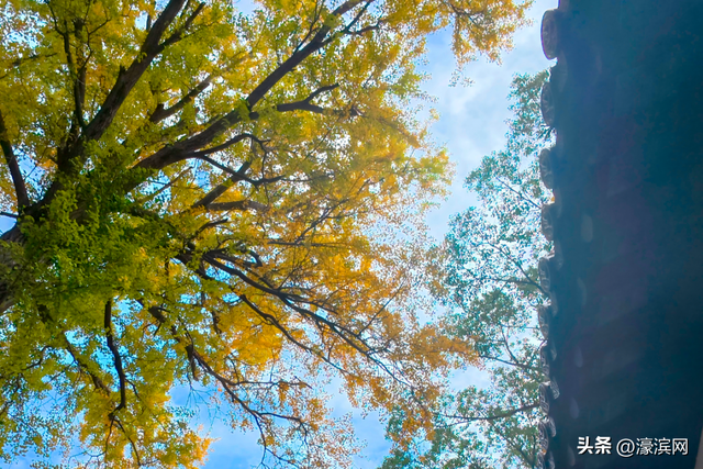 秋色“进度条”加载中，狼山森林公园赏秋点等你来打卡→