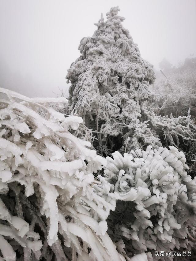 广西自己的雪景在桂林这四个地方，看看我说对了吗？