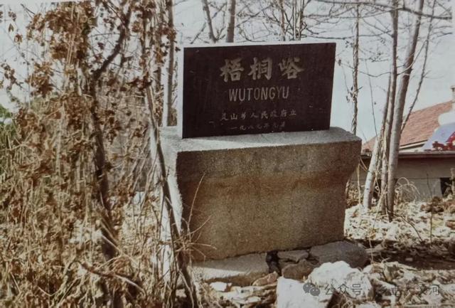 山东省宁阳县华丰镇梧桐峪：风景秀丽的世外桃源