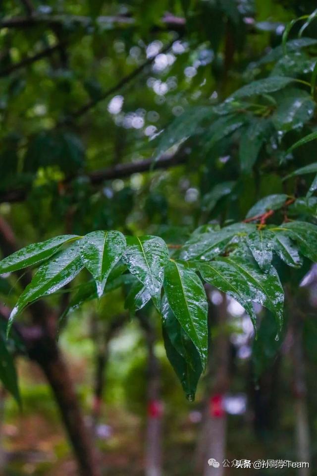 下雨=无聊？在榆林，这才是雨天正确的打开方式！