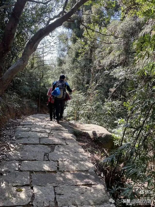 温州这条可至4A景区的著名峡谷穿越线路，风光独特，你可去过？