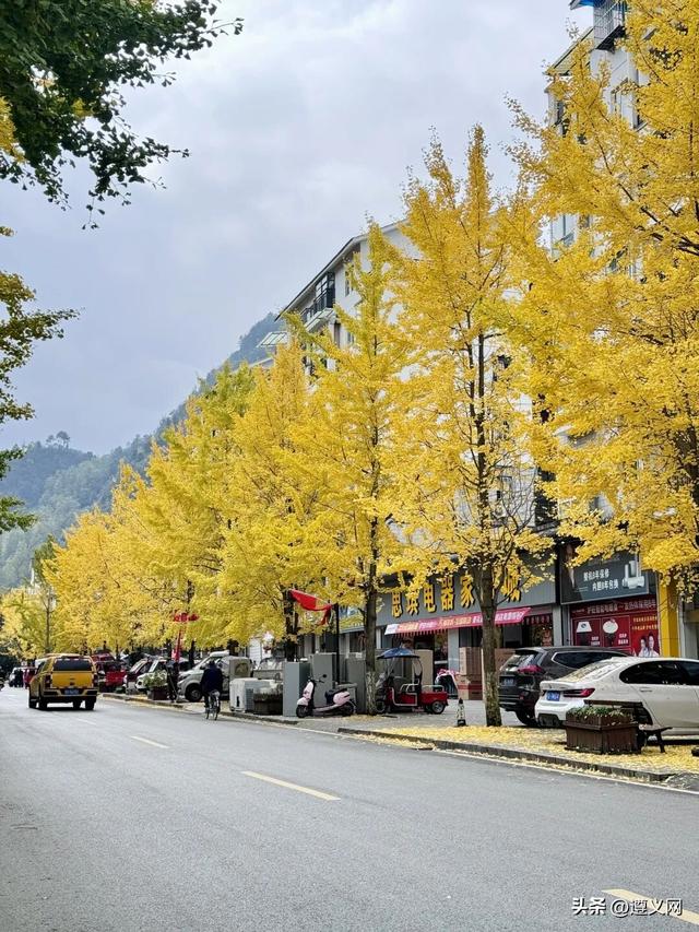 悦·遵义丨是心动呀！遵义，你这么好看！