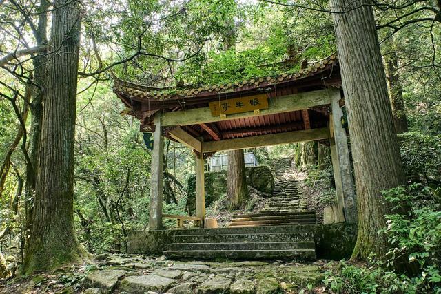 藏不住啦！杭州出发1h左右，杭州周边这6个避暑宝藏地太绝了！