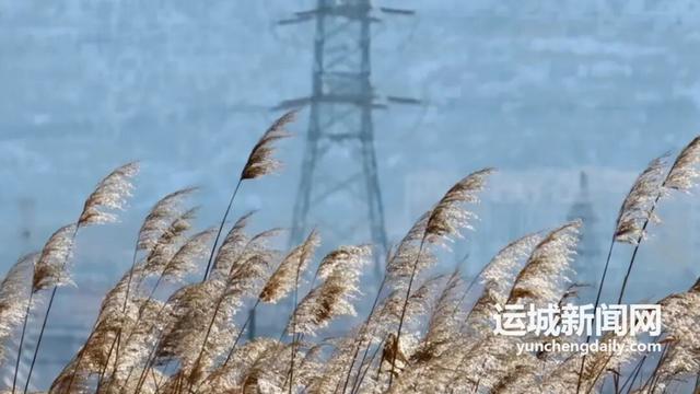 来，到运城“小橘子洲头”走走！