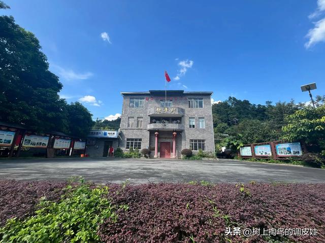 网络文章应标明虚实，净化环境需多方合力