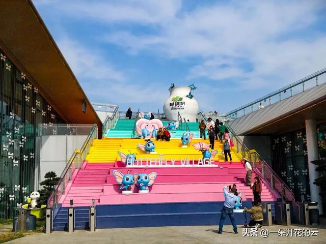 成都人看油菜花，今年换个地方“野”