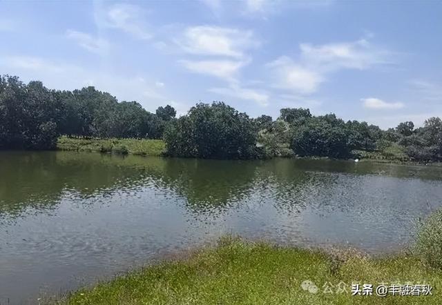 美丽的公主湖｜ 李 芳