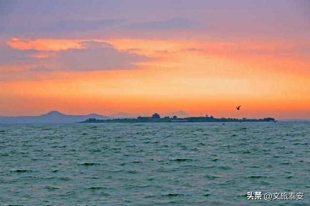 静湖、暖阳、慢时光！入冬后的东平湖已经美成人间的童话啦~