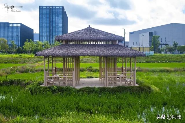 杭州有个钱江经济开发区地处余杭，还在曾经的獐山石矿场建起公园