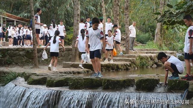 北流容心谷“探索自然之美，传诵诗韵风雅”主题研学活动广受好评