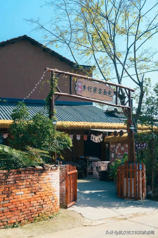 赶紧收藏！森林公园3大玩法新鲜出炉