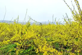 【晋城】免门票！九女仙湖！图片