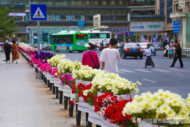临夏市：一座把“浪漫”写进马路牙子的城市