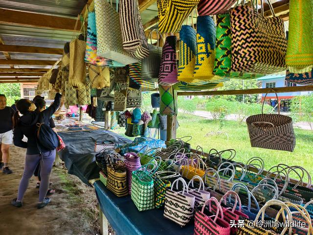 马来西亚(29)砂拉越州③姆鲁山清水洞·风洞