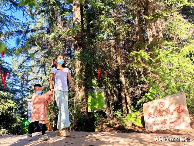 夏日避暑何处去？焉支山“天然氧吧”等你来寻