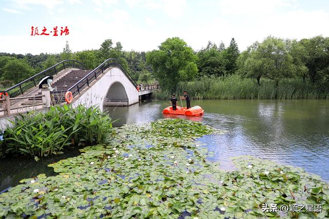 东钱湖畔下水村，南宋最风光，湿地公园免费开放