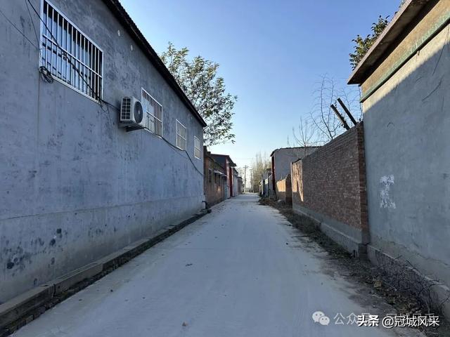 冠县乡韵·贾镇洼里村