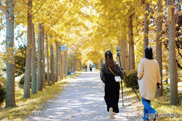 【乐游烟台】这是一份来自“金色梦境”的邀约，一起来撒欢