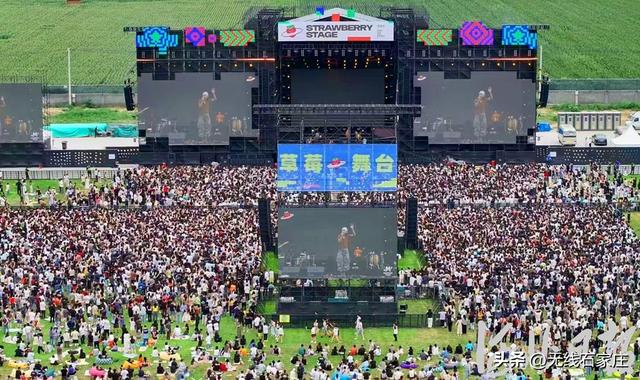 新闻分析丨石家庄草莓音乐节为啥这么火