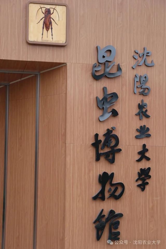 今天起免费开放！沈阳新开一家博物馆！