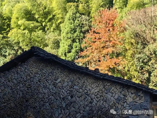 邂逅初冬醉美泽雅风情!藏于乡野的冬日艳遇,每个转角都有惊喜!