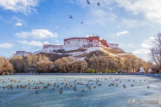 西藏，旅行天花板！2026年的最全玩法，就在这篇里→