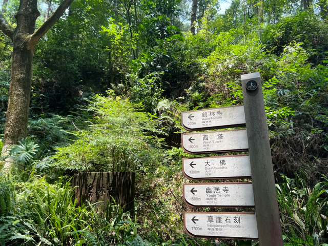 邛崃白鹤山千年绿道，成都0.5h直达，玩转古寺禅意+森系秘境！