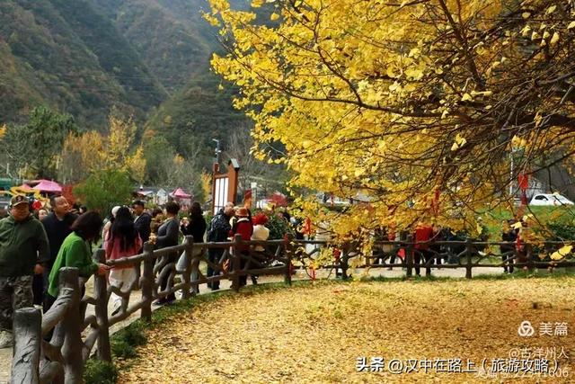 超出片！快来这里捕捉汉中秋色！