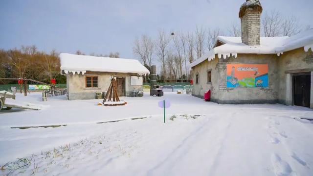 雪后的盐都，每一帧都是壁纸