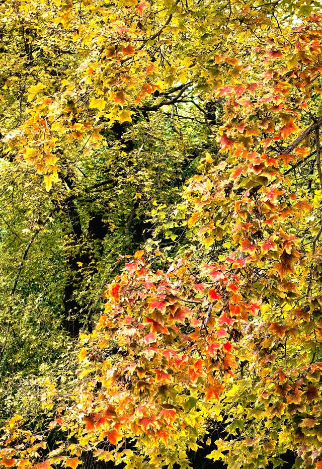 浞景无边，快乐亦无边~